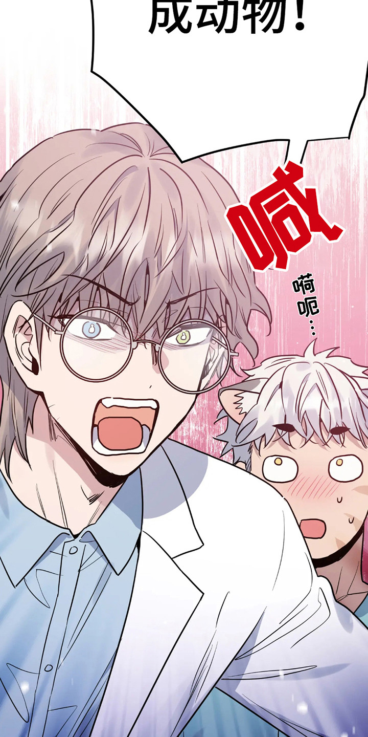 老虎观察日志漫画,第3话1图
