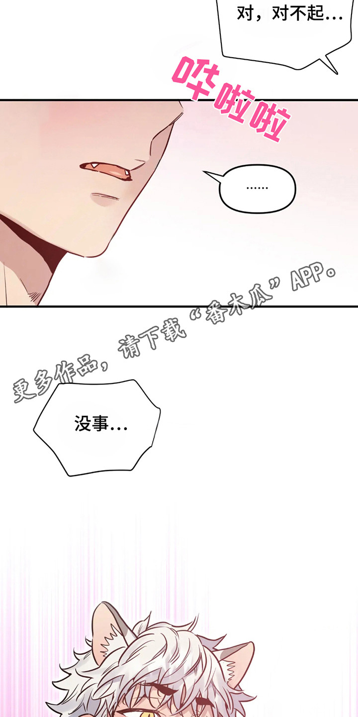 老虎观察日志漫画,第1话1图