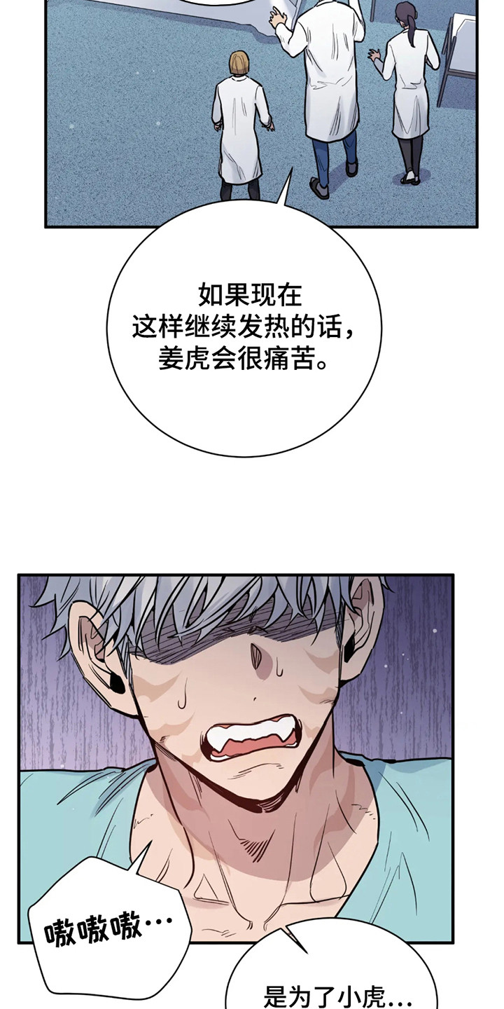 老虎观察日志漫画,第3话1图