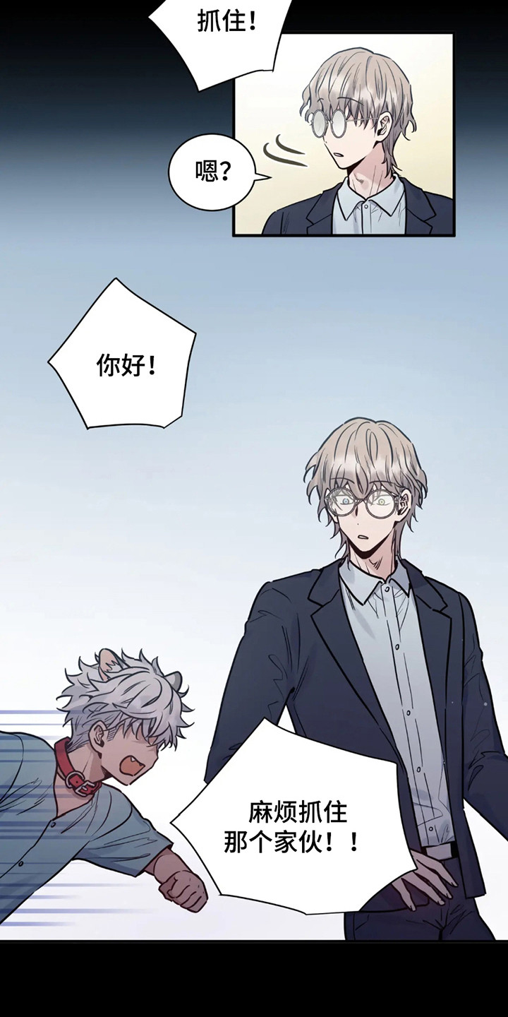 老虎观察日志漫画,第1话1图