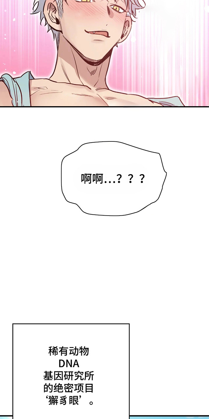 老虎观察日志漫画,第1话2图