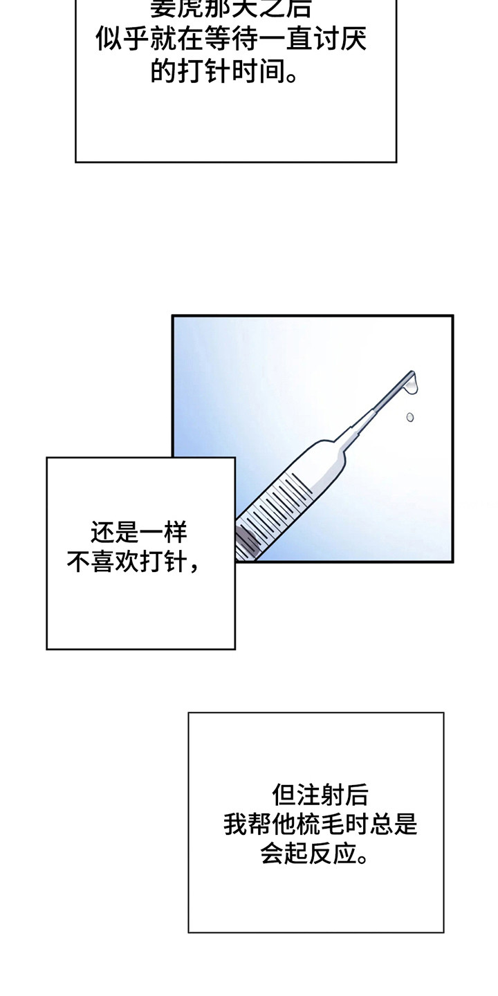 老虎观察日志漫画,第4话1图