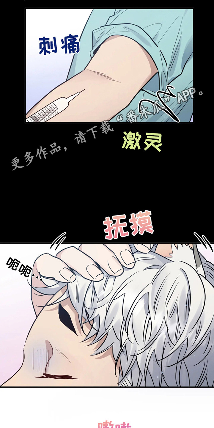 老虎观察日志漫画,第2话1图