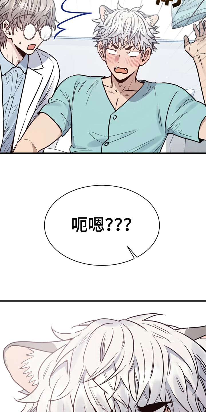 老虎观察日志漫画,第3话1图