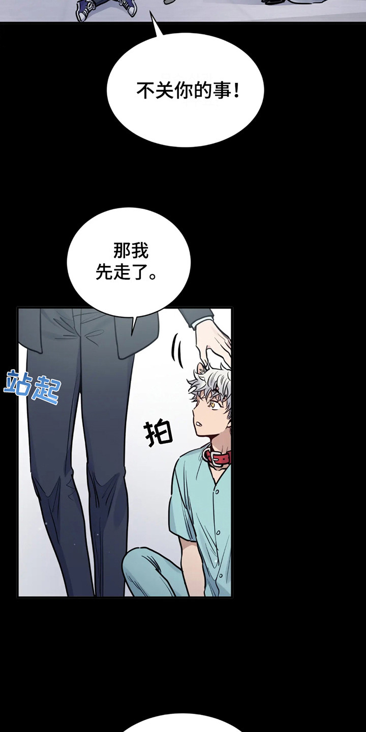 老虎观察日志漫画,第2话2图