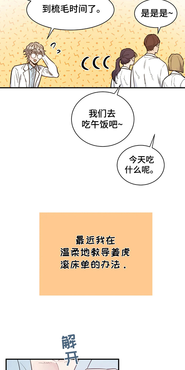 老虎观察日志漫画,第7话1图