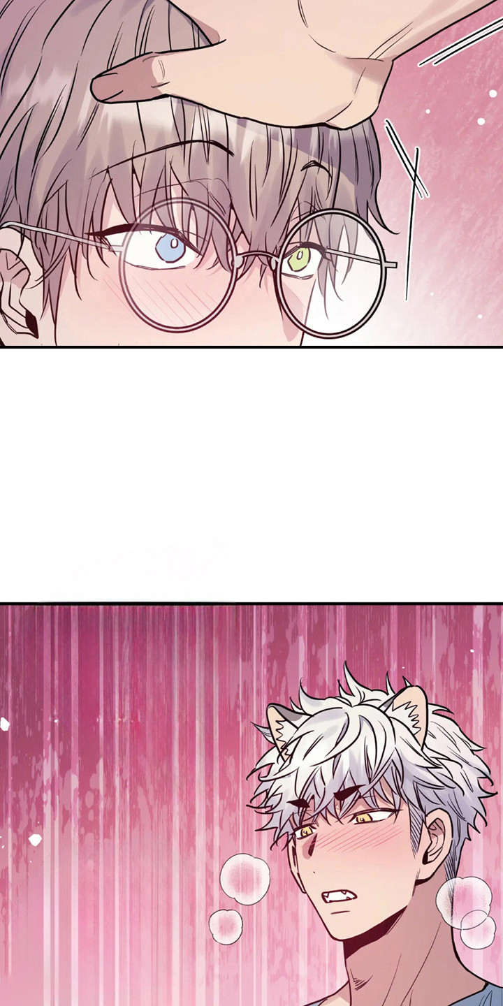 老虎观察日志漫画,第4话1图