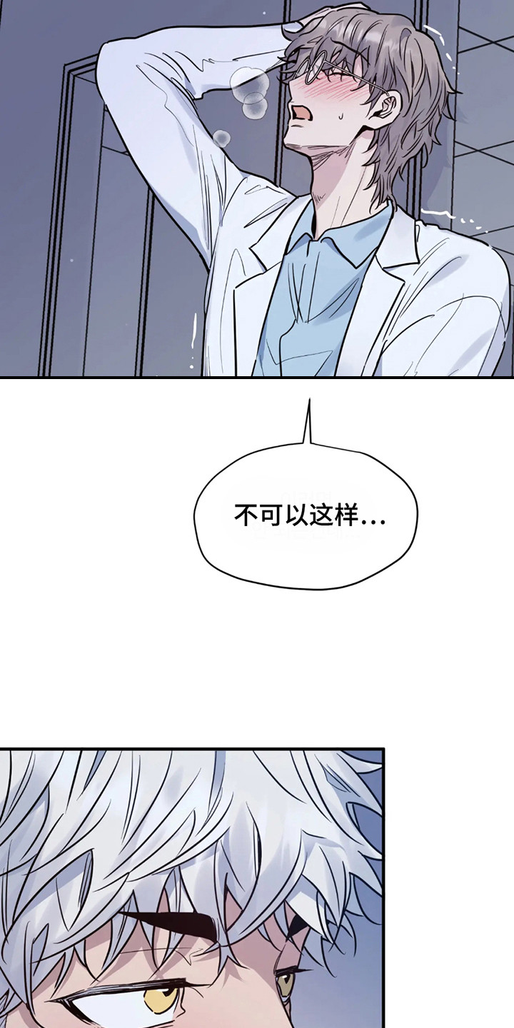 老虎观察日志漫画,第1话1图