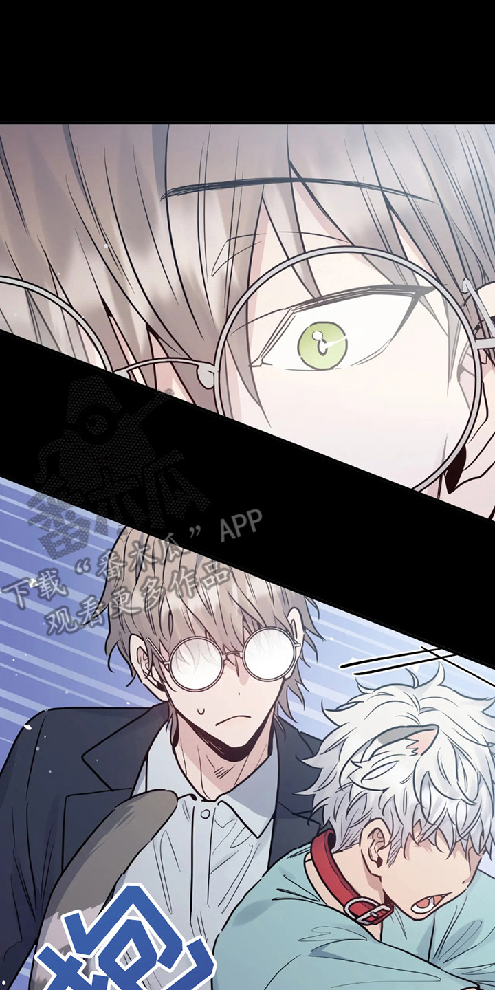 老虎观察日志漫画,第1话2图