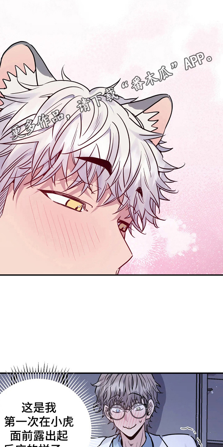 老虎观察日志漫画,第6话1图