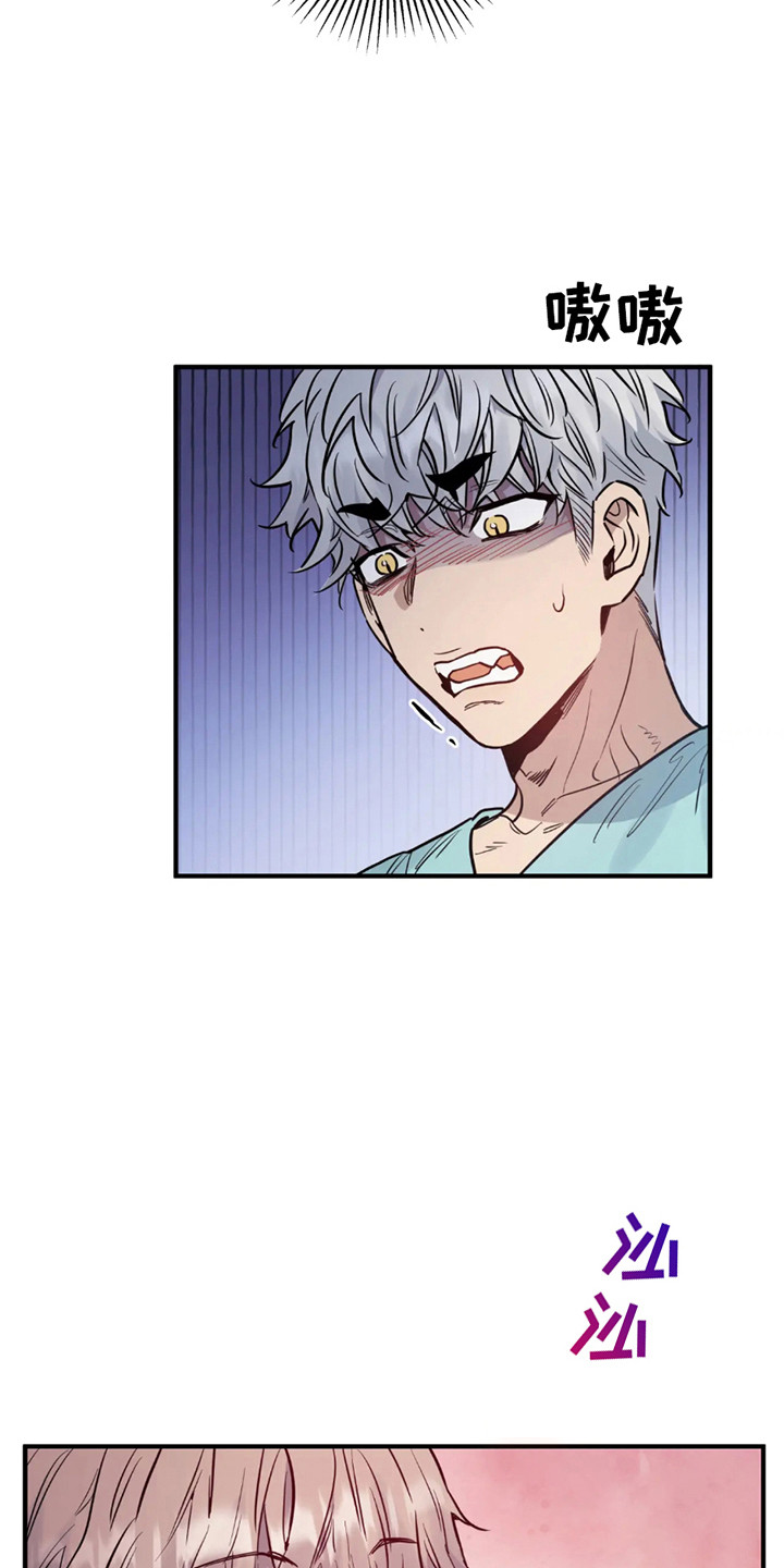老虎观察日志漫画,第4话2图