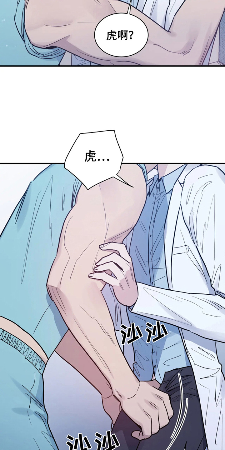 老虎观察日志漫画,第5话2图
