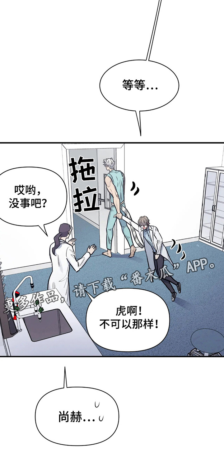 老虎观察日志漫画,第5话1图