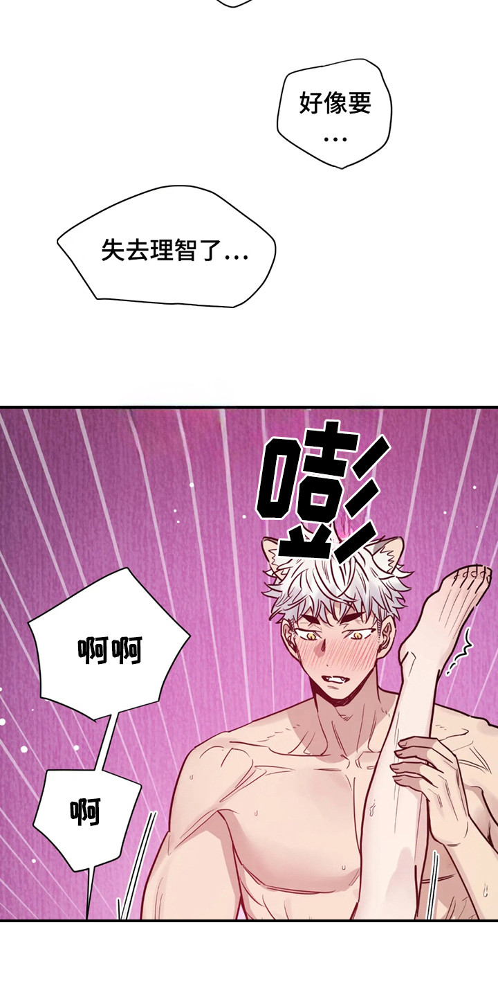 老虎观察日志漫画,第7话1图