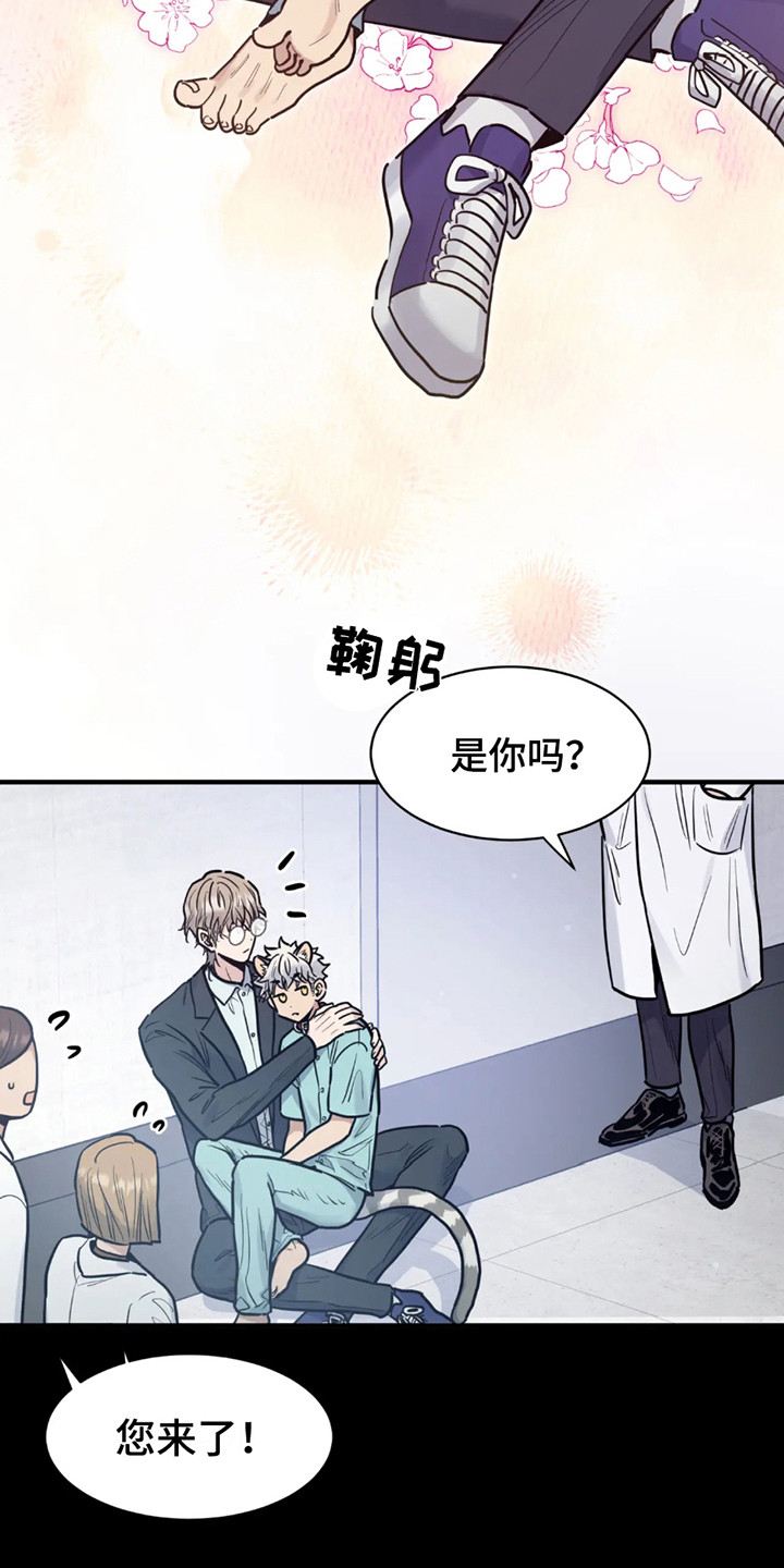 老虎观察日志漫画,第2话1图