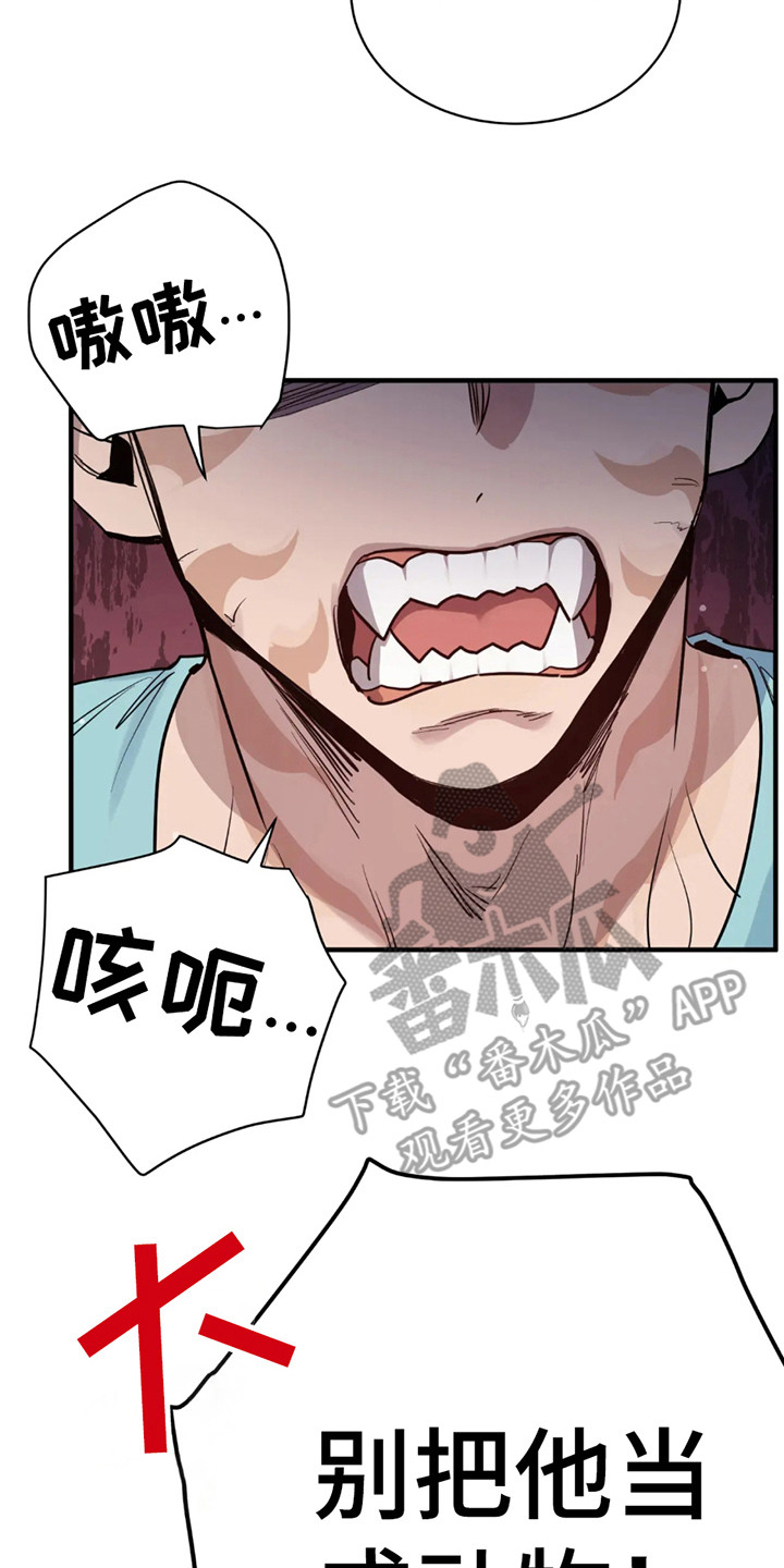 老虎观察日志漫画,第3话2图