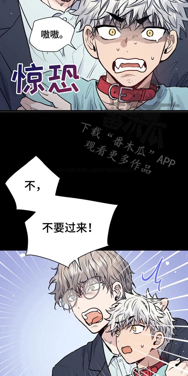 老虎观察日志漫画,第1话2图