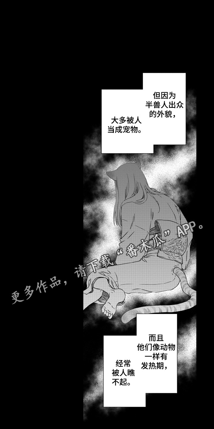 半兽人免费观看完整版漫画,第2话2图