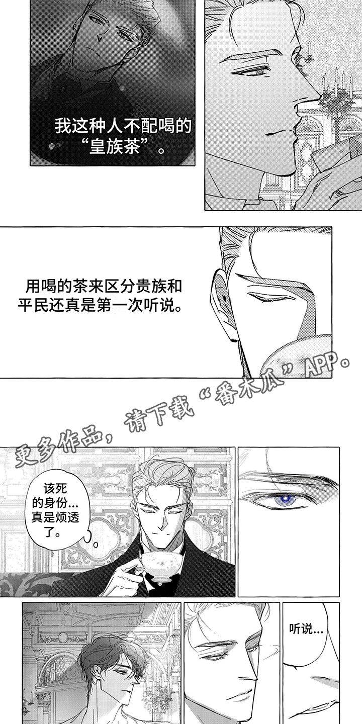 珍珠至宝的结局漫画,第10话1图