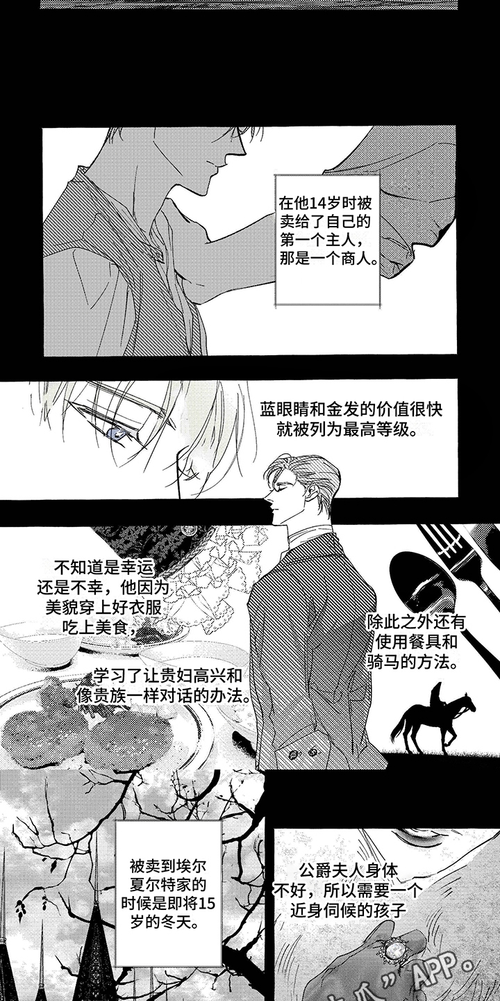 珍珠项链一般多少钱漫画,第7话1图