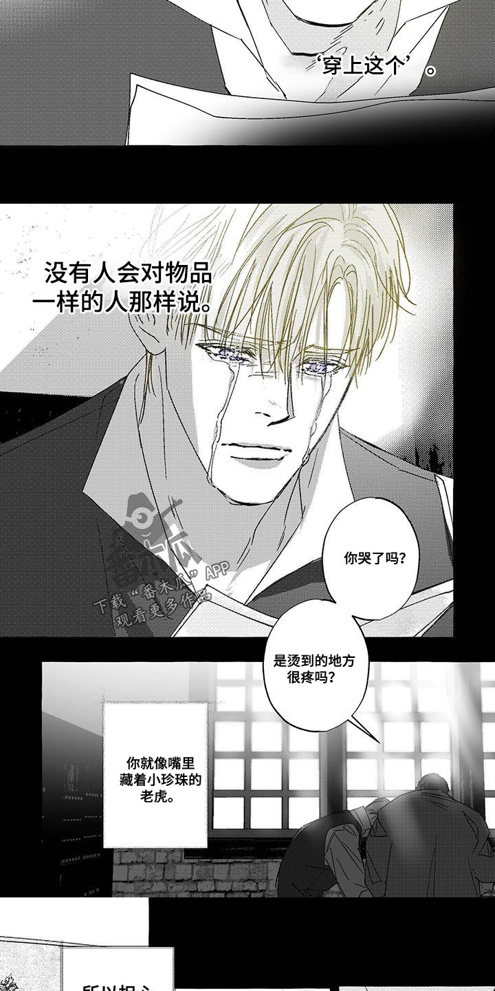 珍珠至宝全文免费阅读笔趣阁漫画,第24话2图