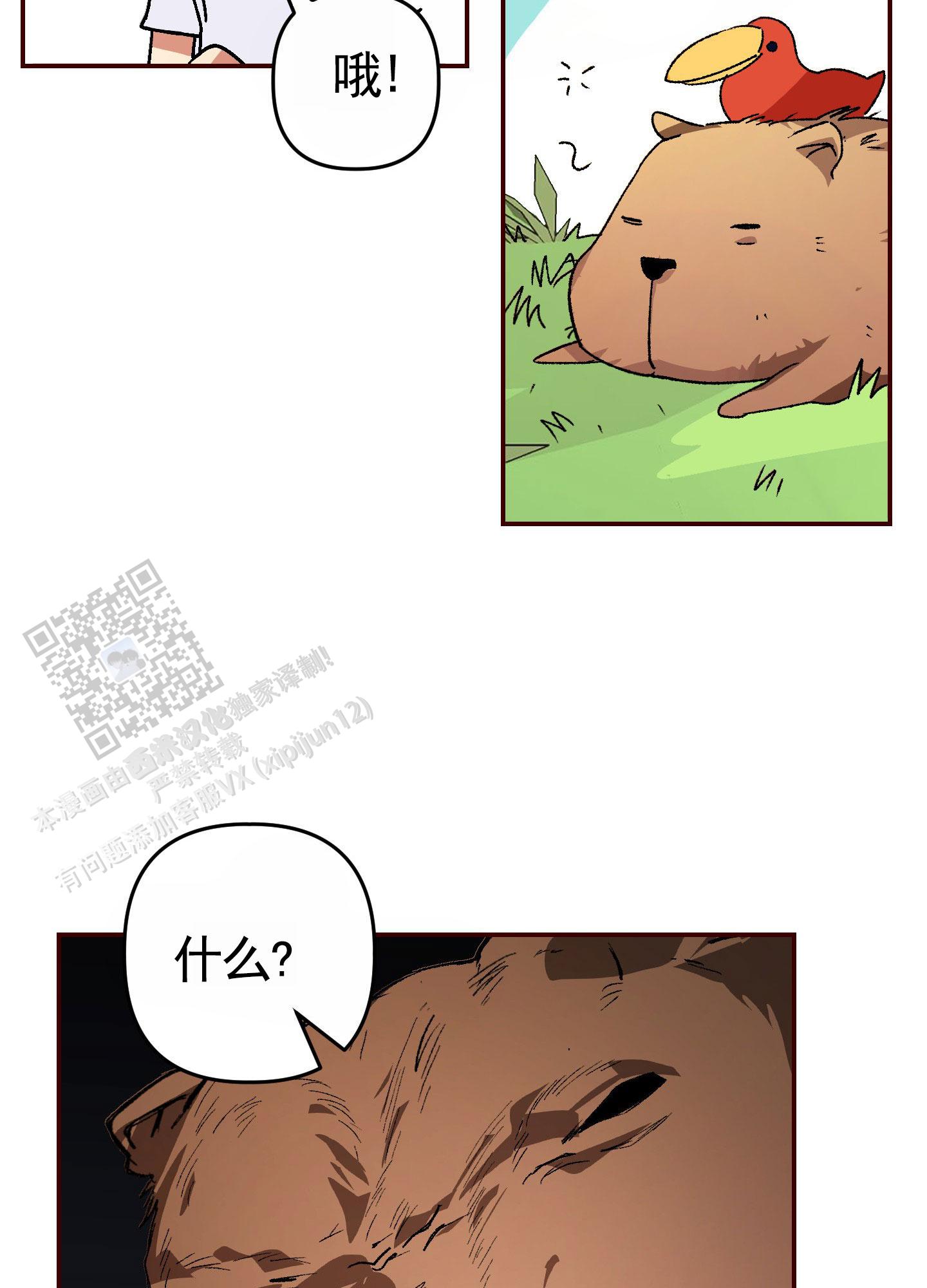 丛林生存日记漫画,第5话2图