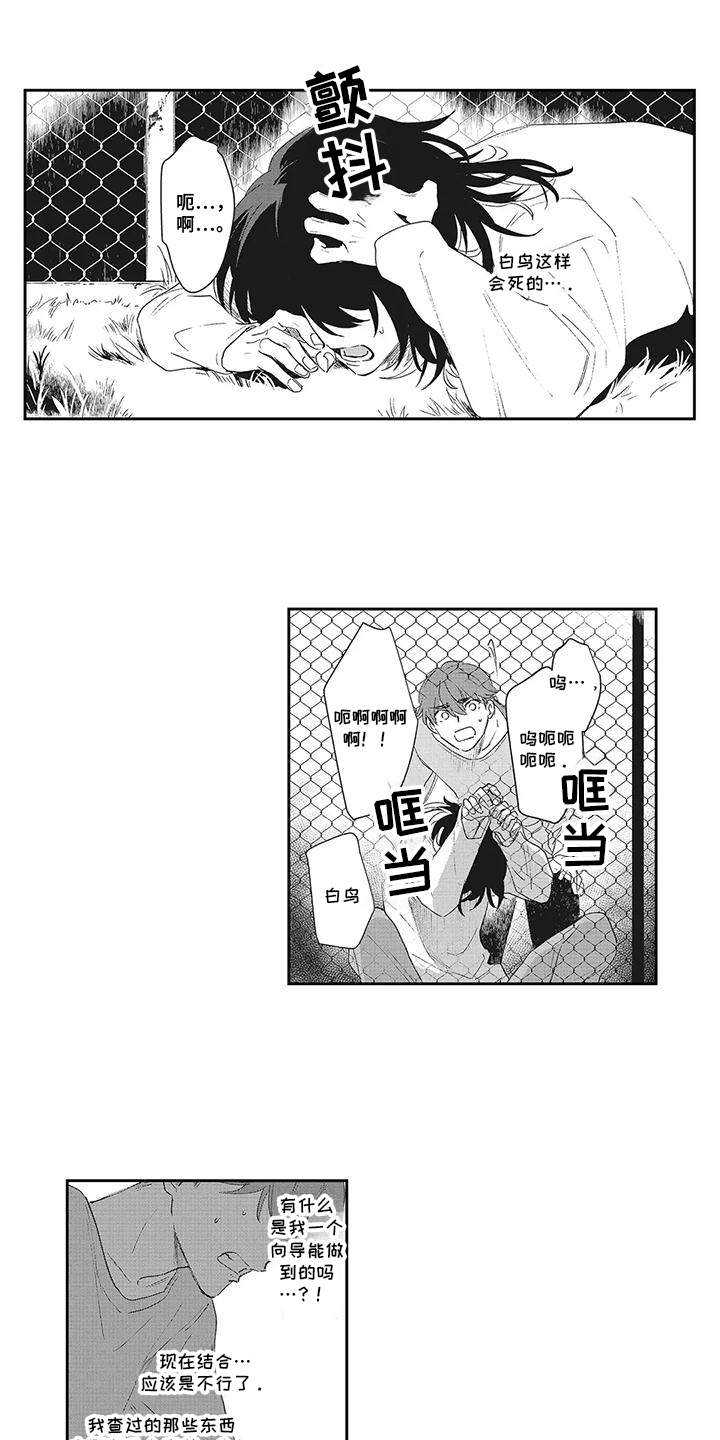 伊甸园福利院视频漫画,第16话1图