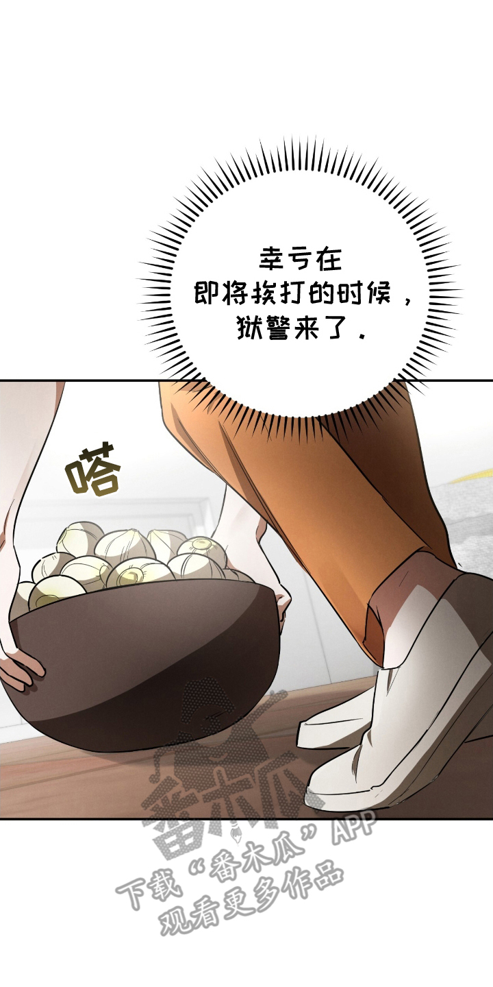 迷你猫的真相漫画,第14话2图