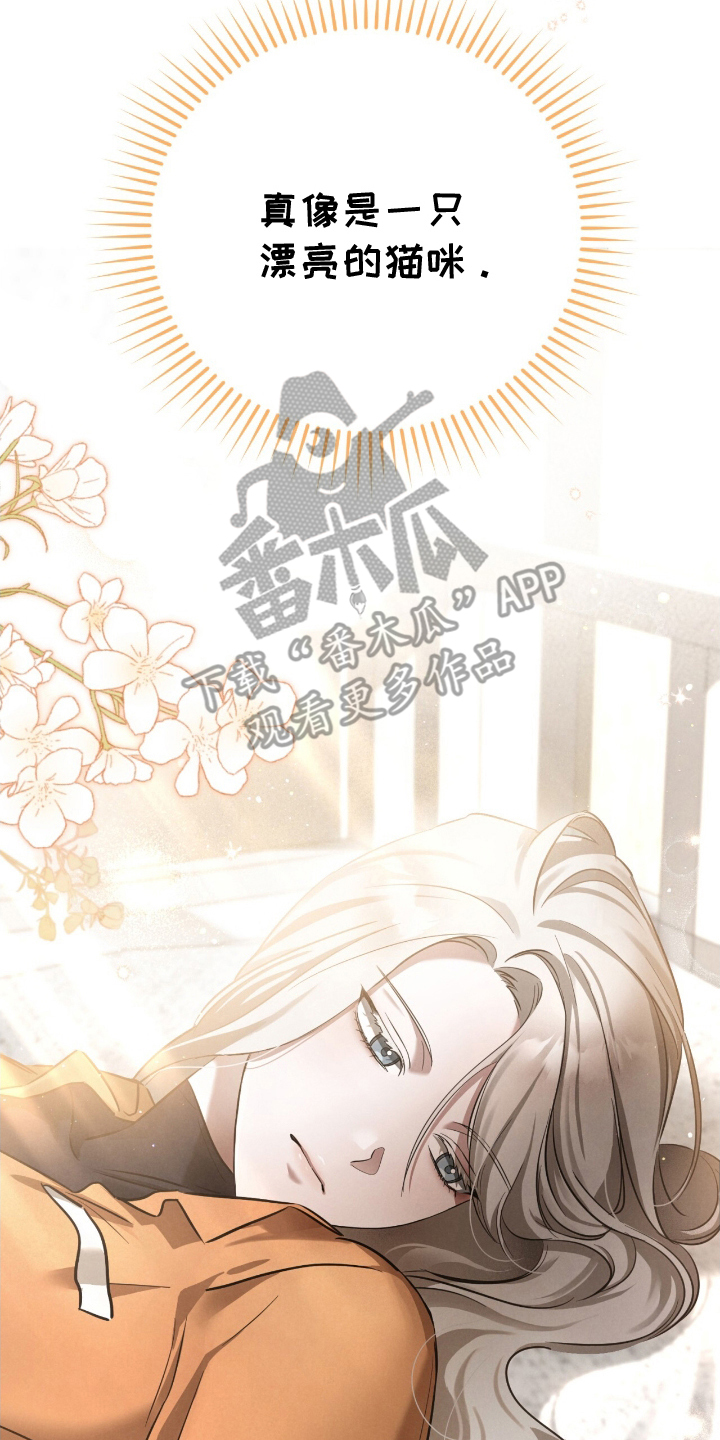 我想找迷你猫漫画,第11话2图