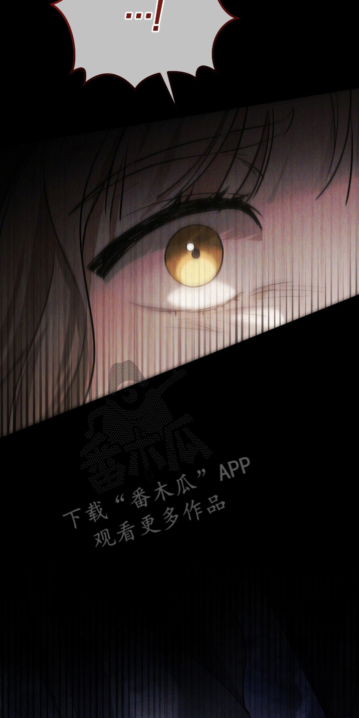 迷你猫爬架漫画,第5话2图