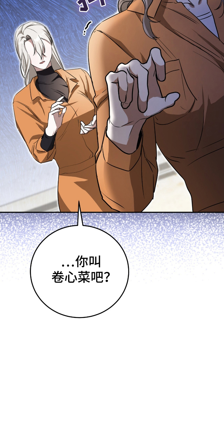 看一个迷你猫漫画,第13话1图