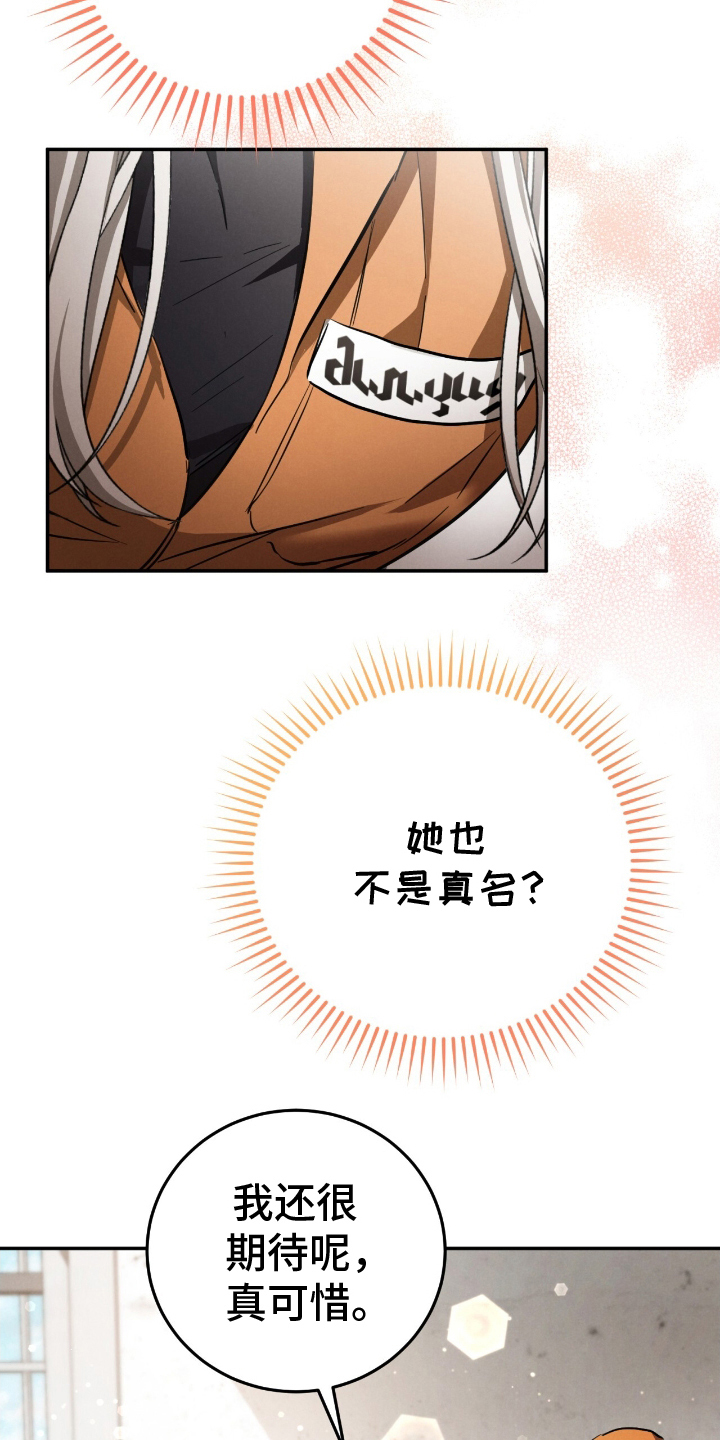 迷你猫的真相漫画,第11话1图