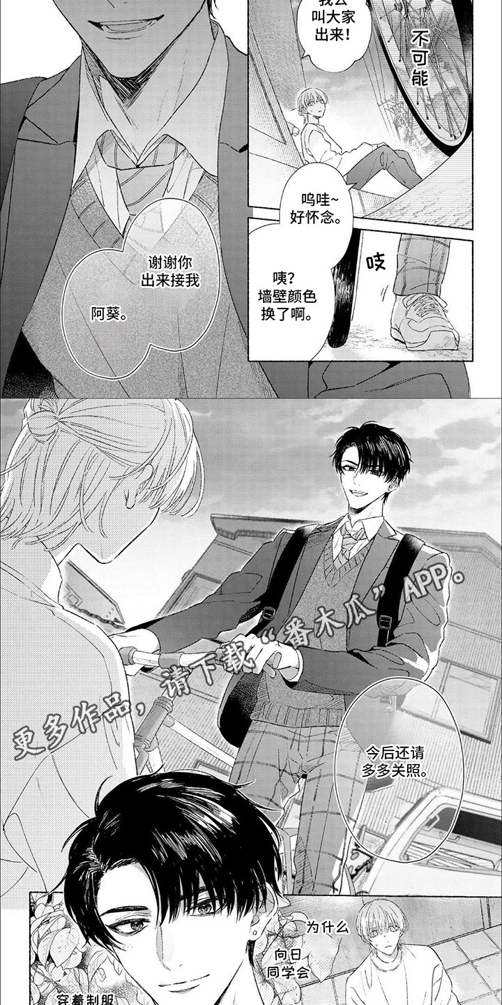 向阳而生在线观看漫画,第2话1图