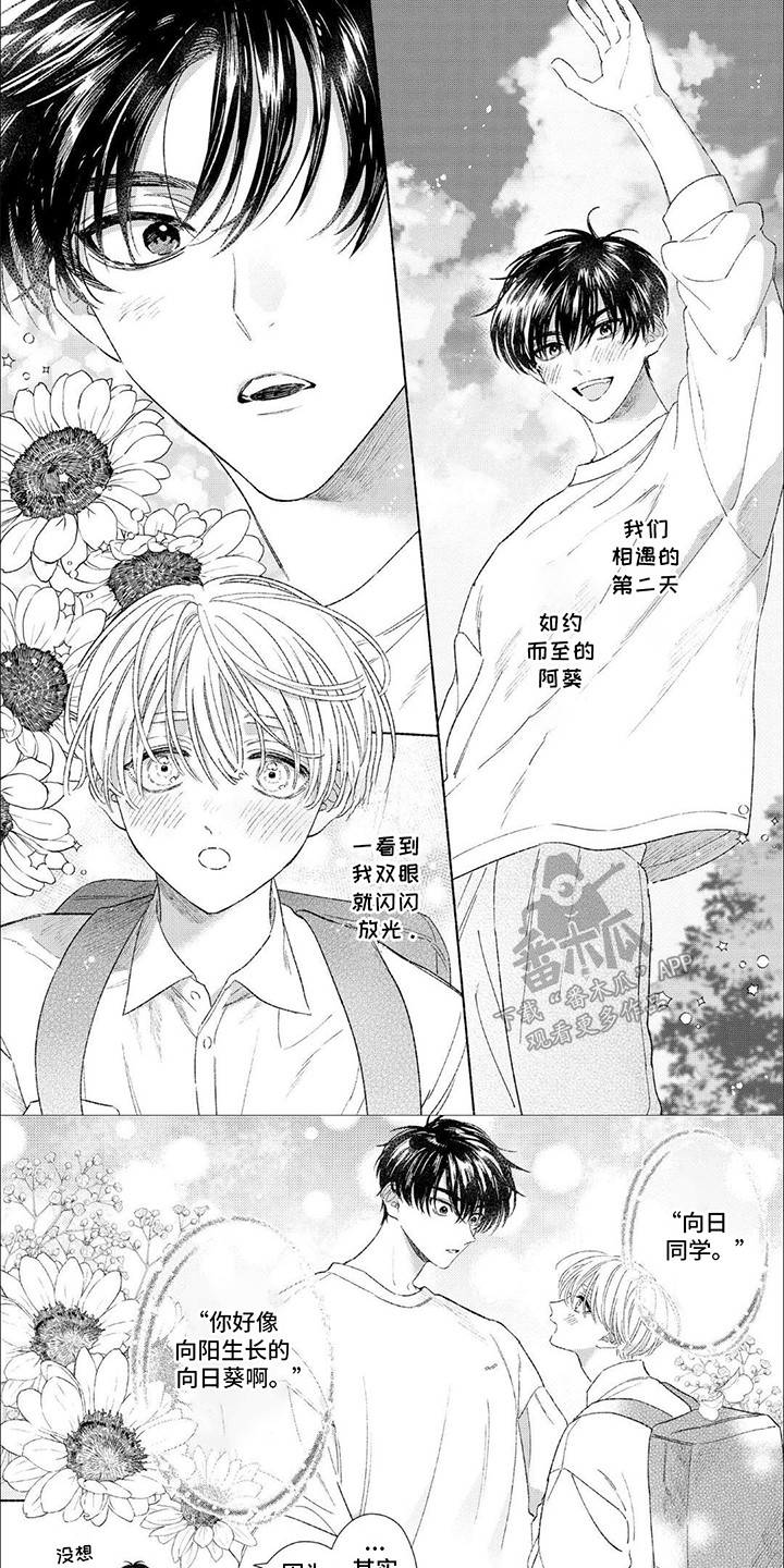 向阳而生意思漫画,第13话1图