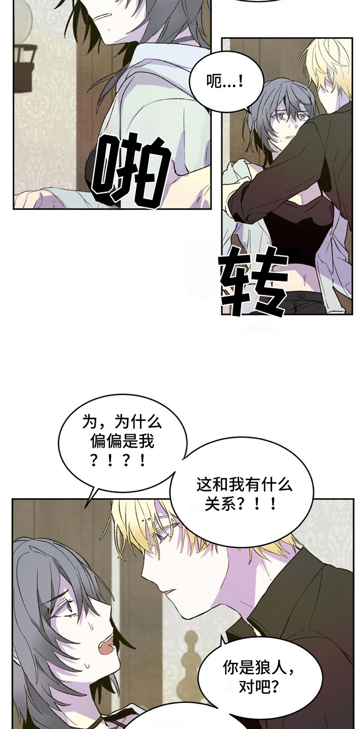 满月之日是哪一天漫画,第5话2图