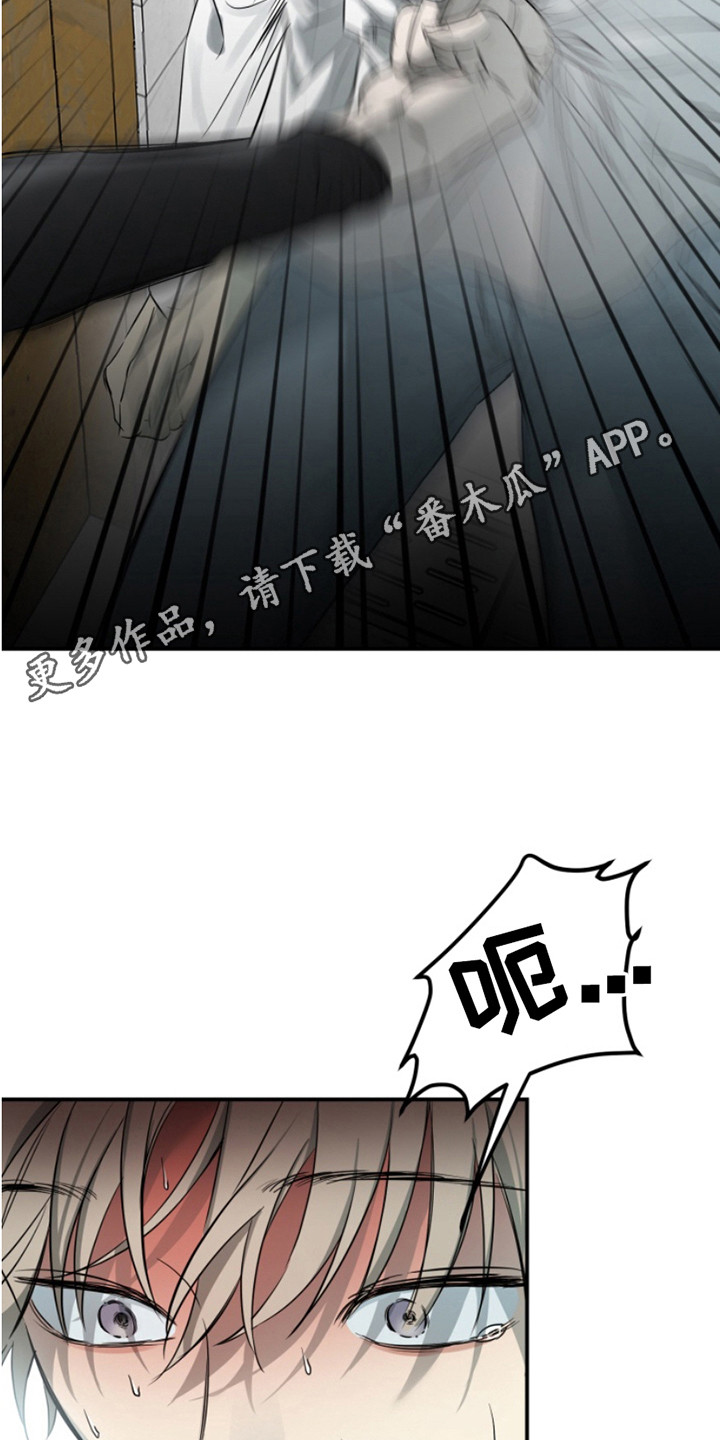 属性觉醒韩漫在线看漫画,第3话1图