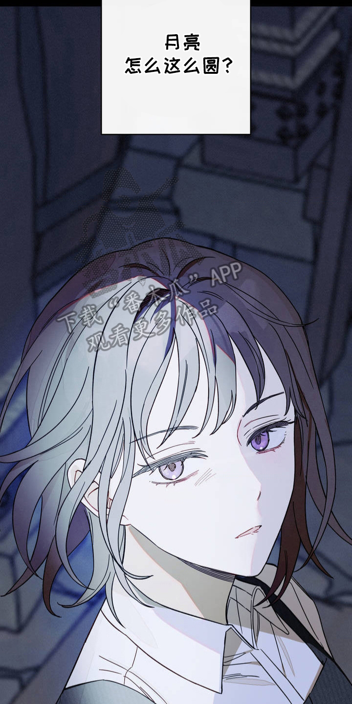 葡萄园里的故事漫画,第1话2图