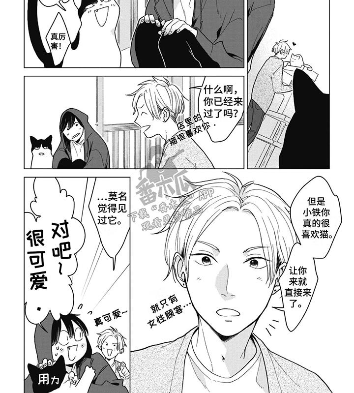 猫猫想要被抚摸漫画,第4话2图