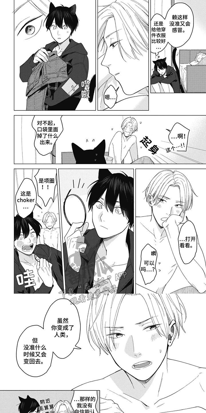 猫猫想要被抚摸漫画,第18话1图