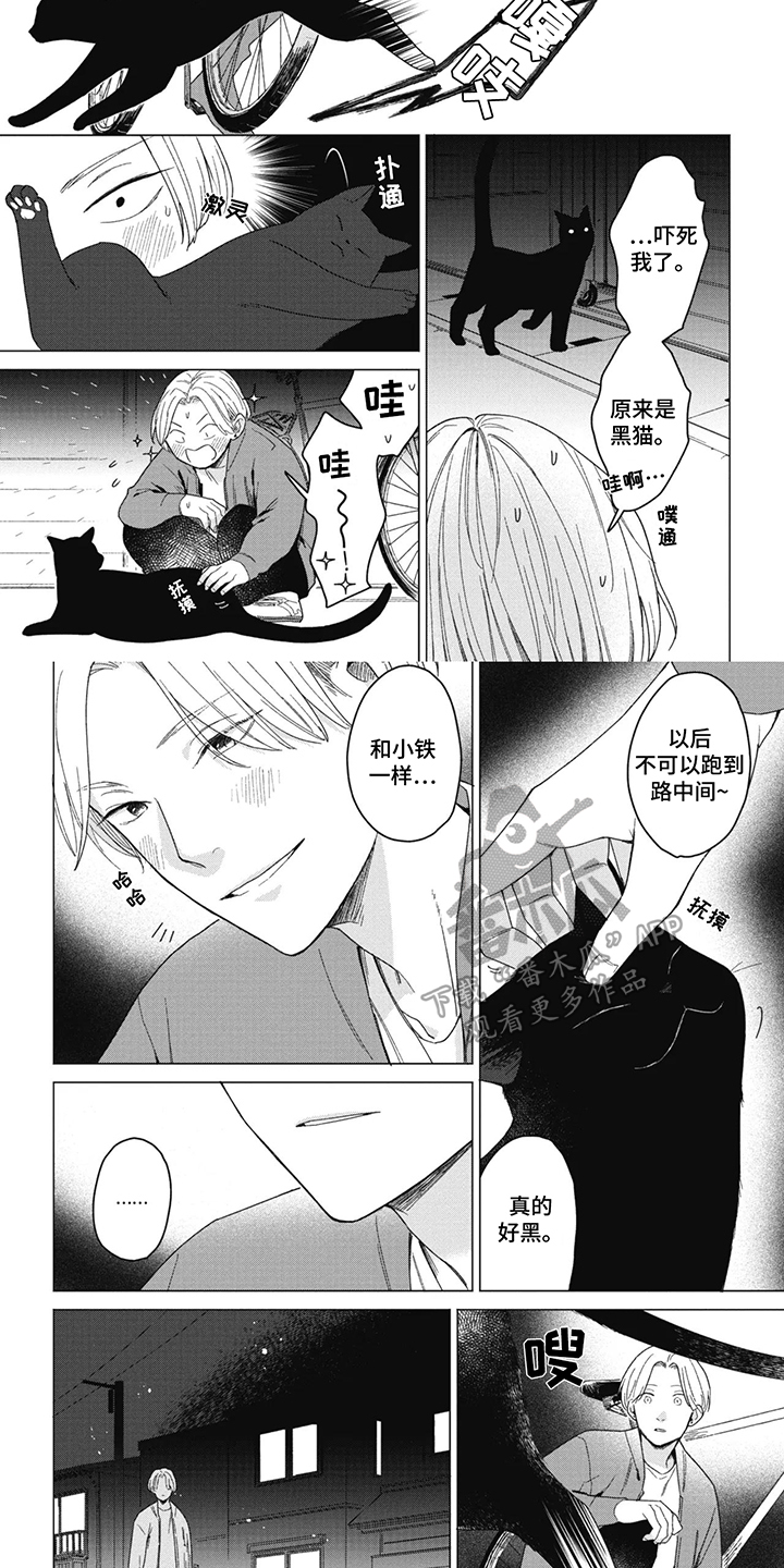 猫猫想要被抚摸漫画,第16话2图