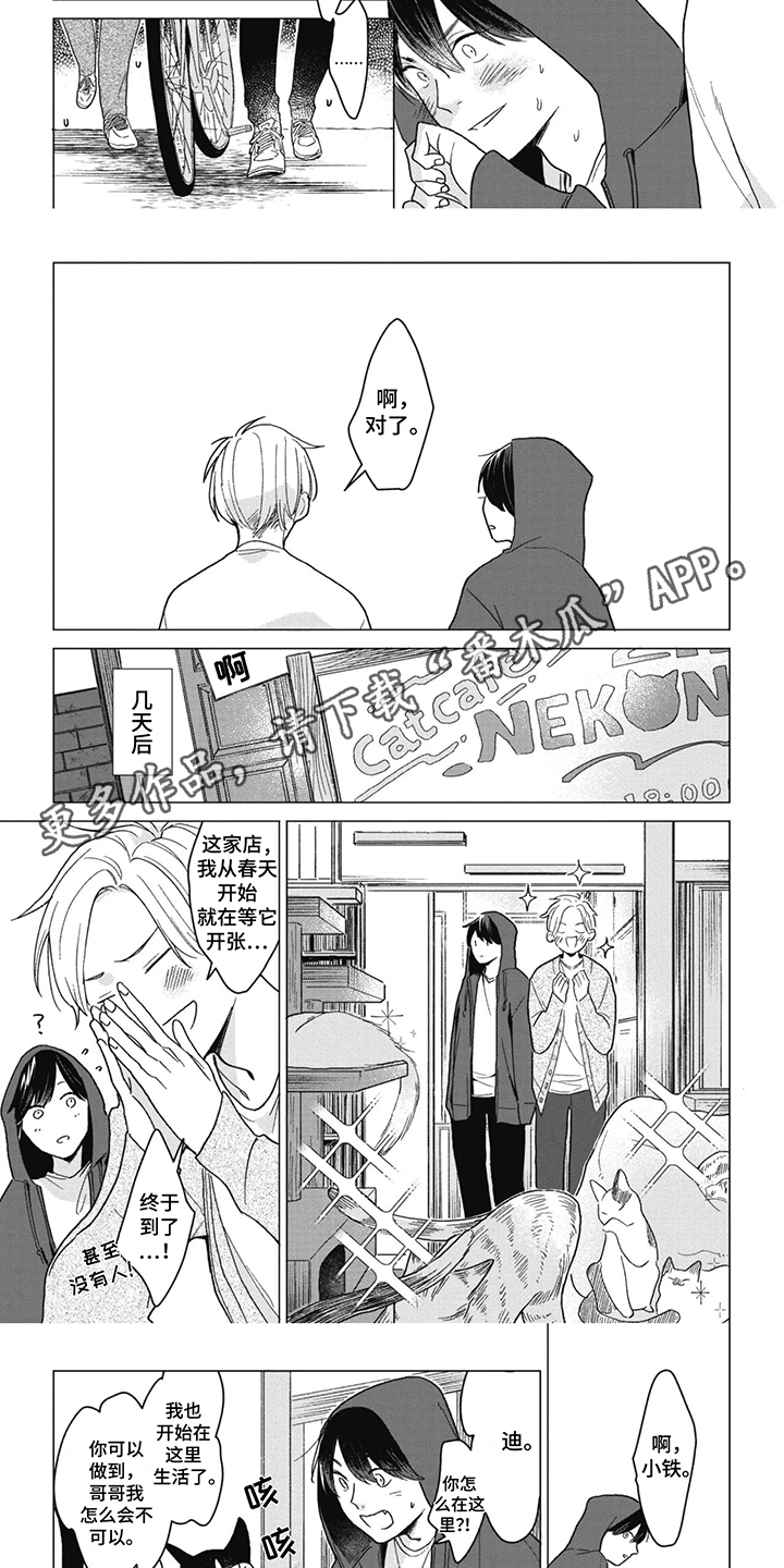 猫猫想要被抚摸漫画,第4话1图