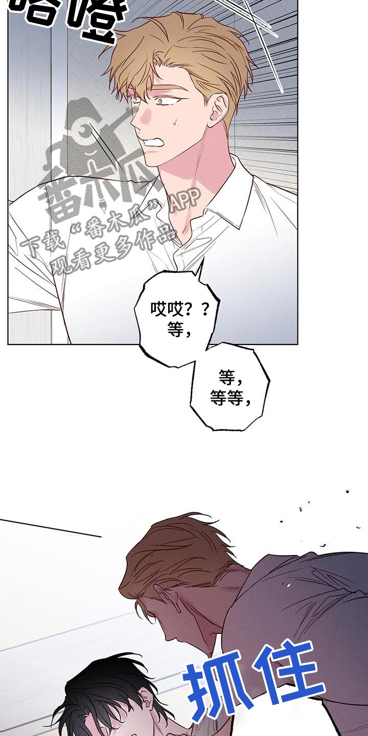 波涛的海岸漫画免费观看全集漫画,第38话1图