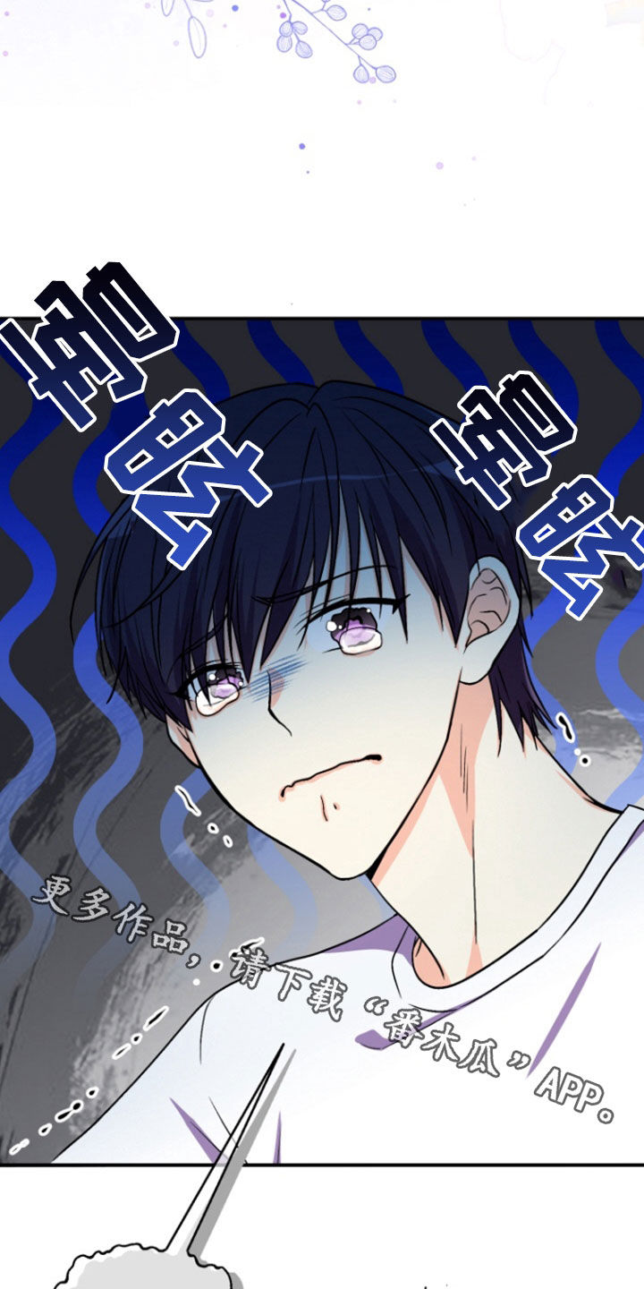 柔软的刺猬漫画,第20话2图