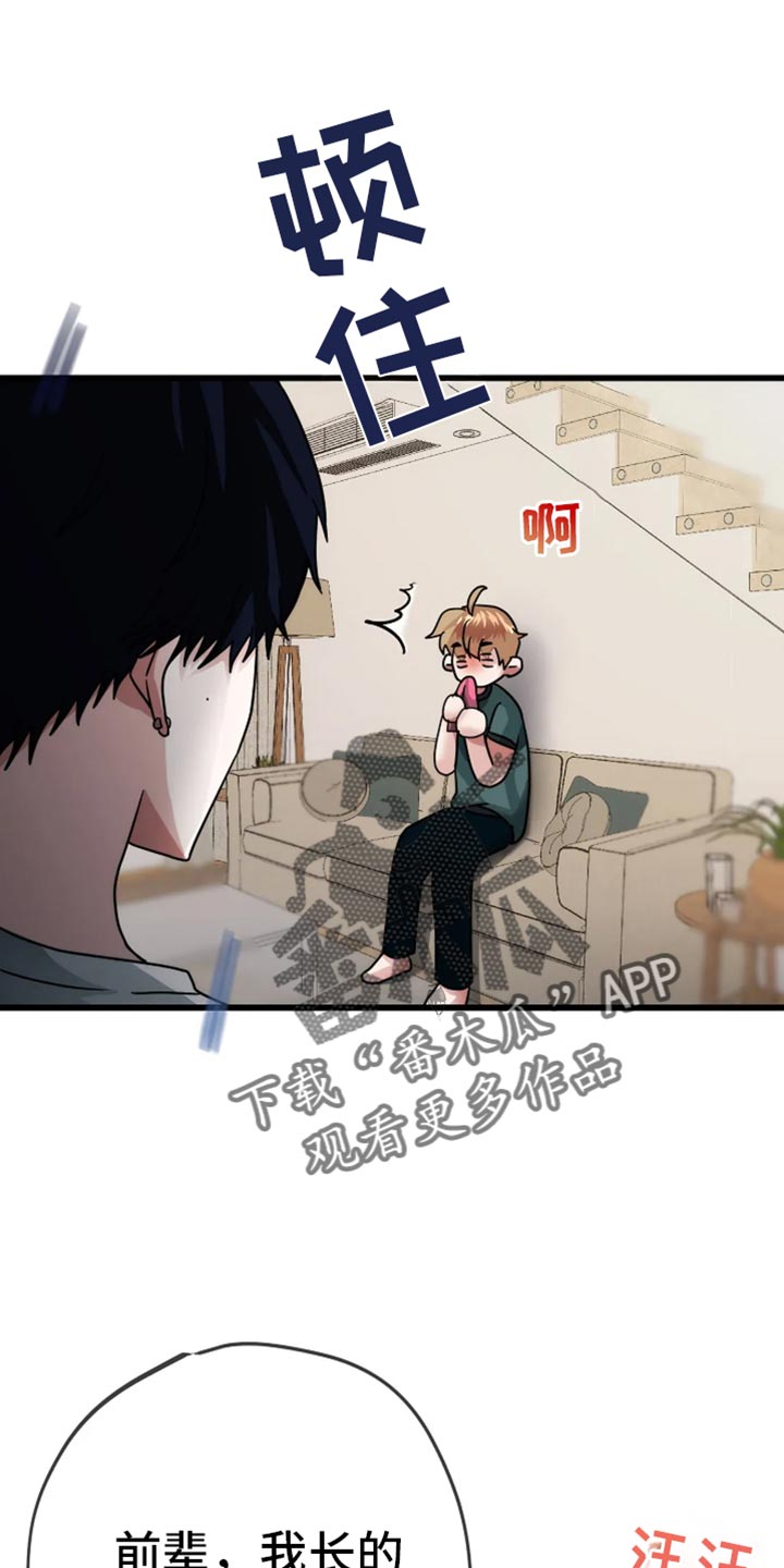 恶魔契约在线观看漫画,第55话2图