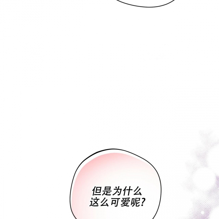 独宠漫画,第91话1图