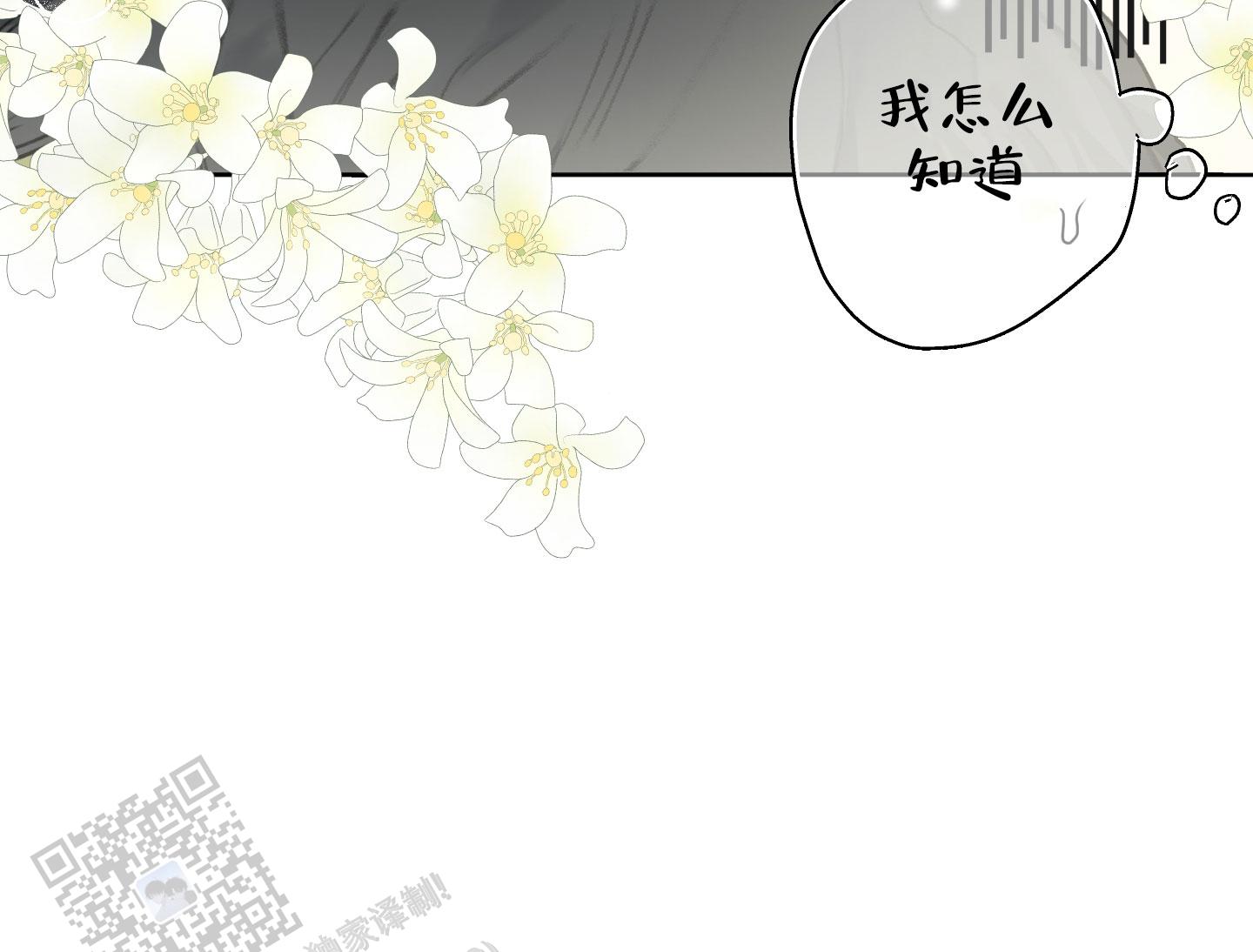 落花池漫画免费阅读完整版漫画,第19话1图