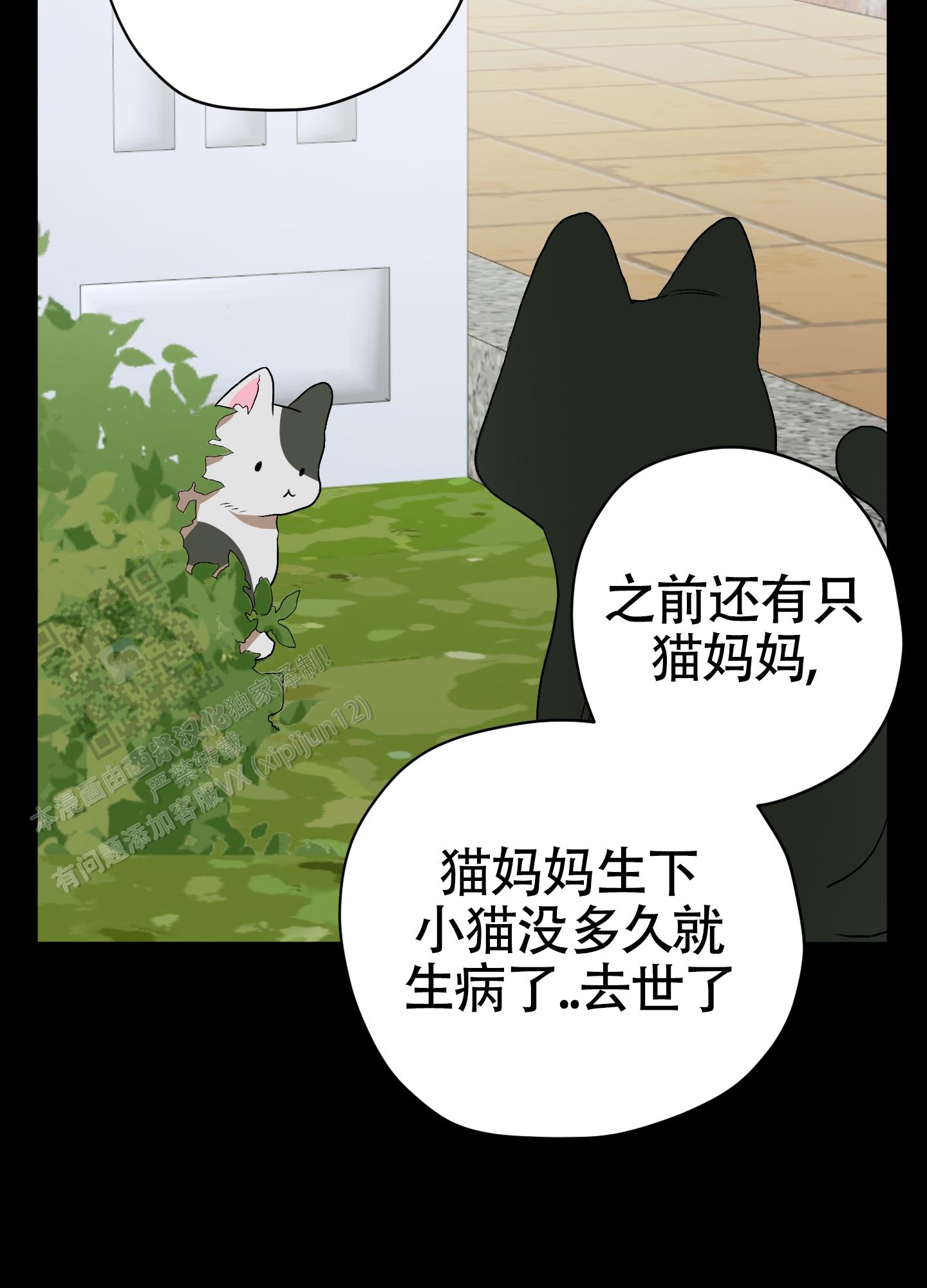 落花池的英文漫画,第40话2图