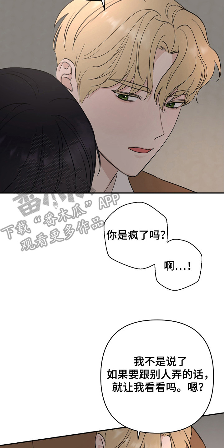 双重惊喜计划小说免费阅读漫画,第7话2图