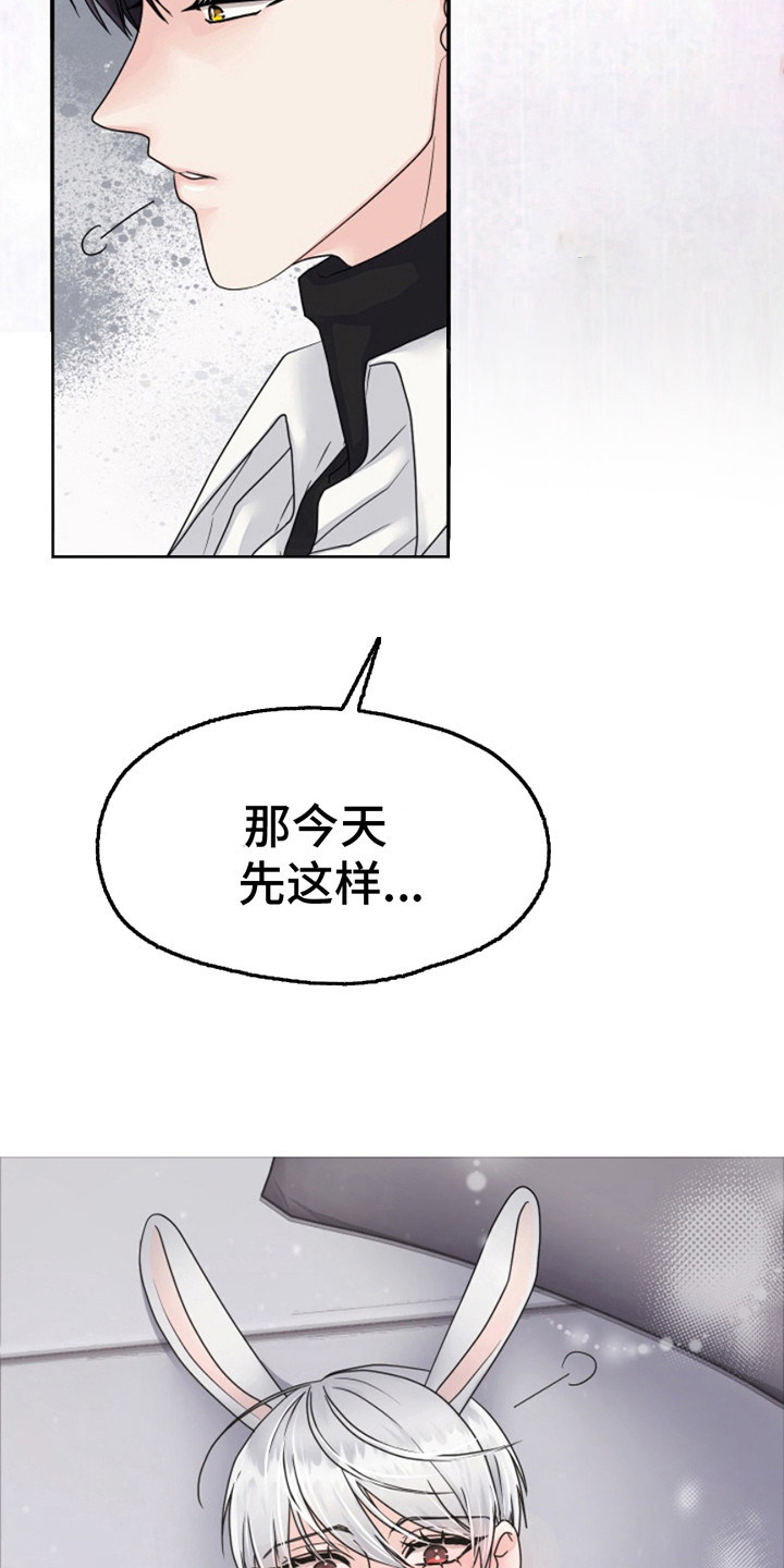 白兔为伴漫画,第6话1图