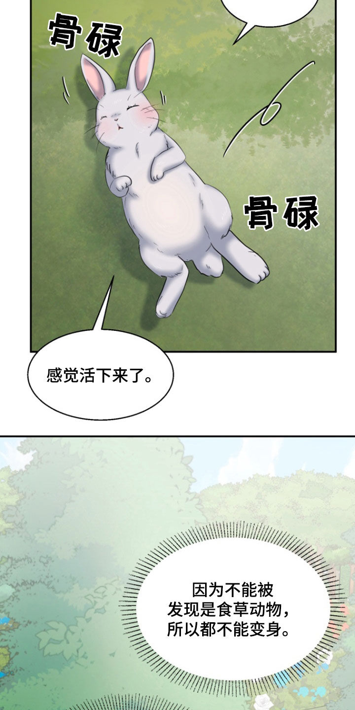 白兔为伴漫画,第44话2图